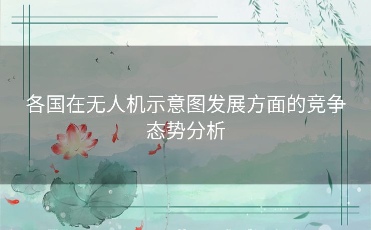 各国在无人机示意图发展方面的竞争态势分析