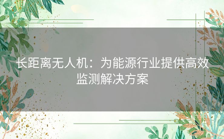 长距离无人机：为能源行业提供高效监测解决方案