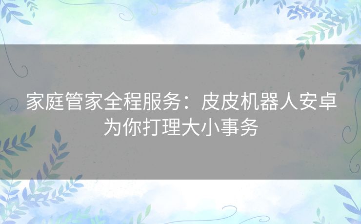 家庭管家全程服务：皮皮机器人安卓为你打理大小事务
