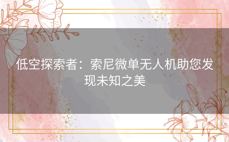 低空探索者：索尼微单无人机助您发现未知之美