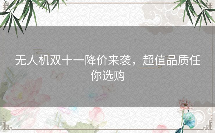 无人机双十一降价来袭，超值品质任你选购