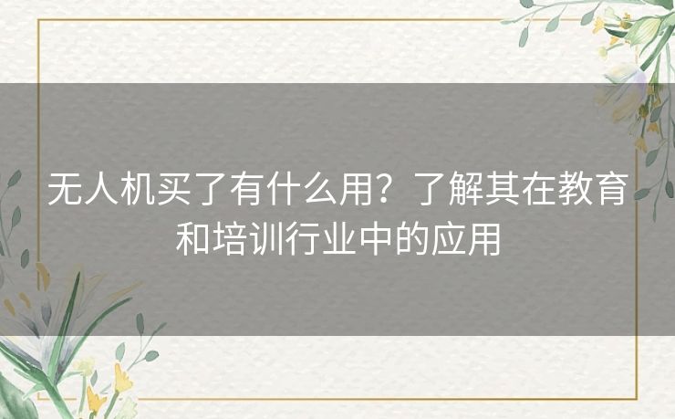 无人机买了有什么用？了解其在教育和培训行业中的应用