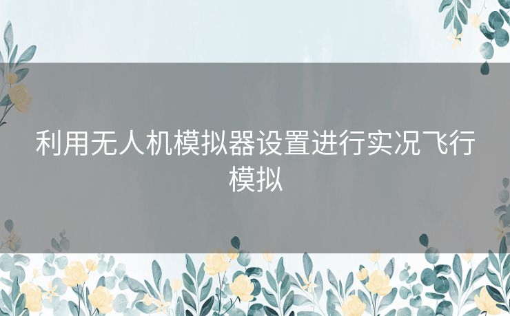 利用无人机模拟器设置进行实况飞行模拟