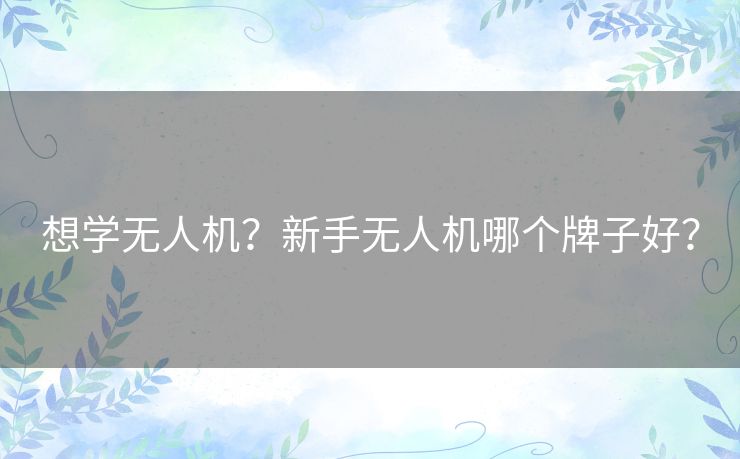 想学无人机？新手无人机哪个牌子好？