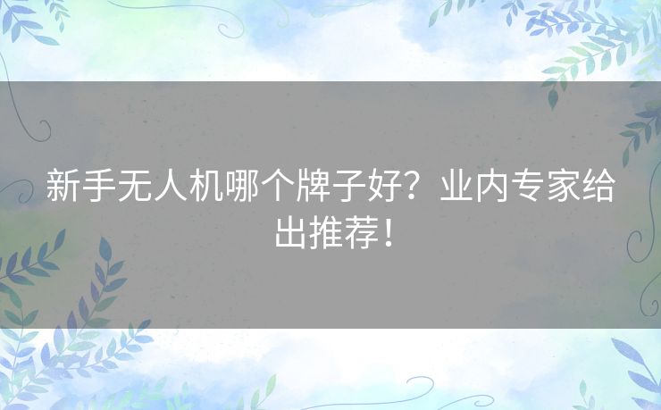 新手无人机哪个牌子好？业内专家给出推荐！