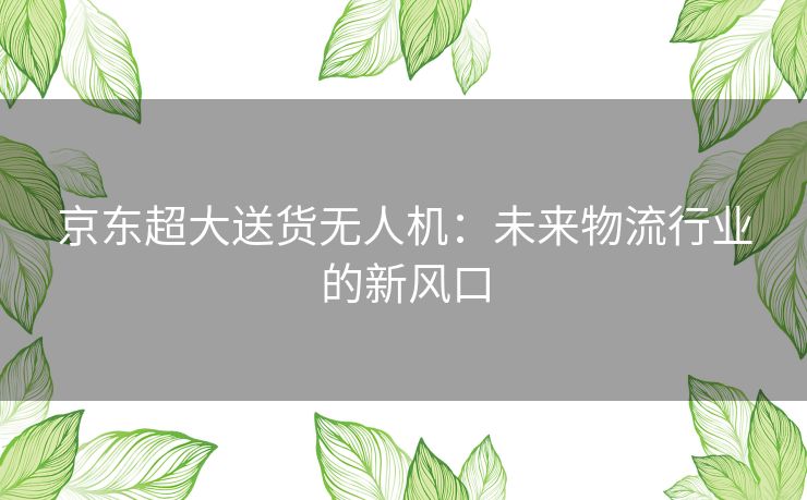 京东超大送货无人机：未来物流行业的新风口