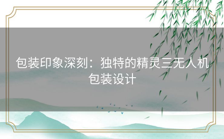 包装印象深刻：独特的精灵三无人机包装设计