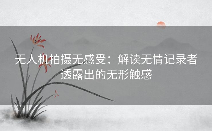 无人机拍摄无感受：解读无情记录者透露出的无形触感