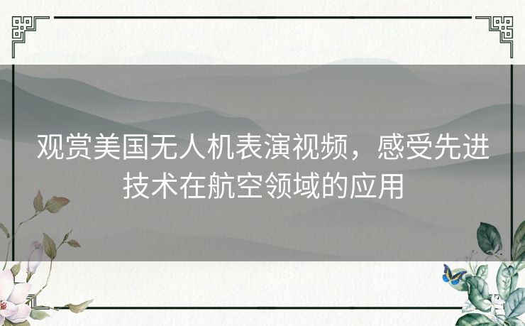 观赏美国无人机表演视频，感受先进技术在航空领域的应用