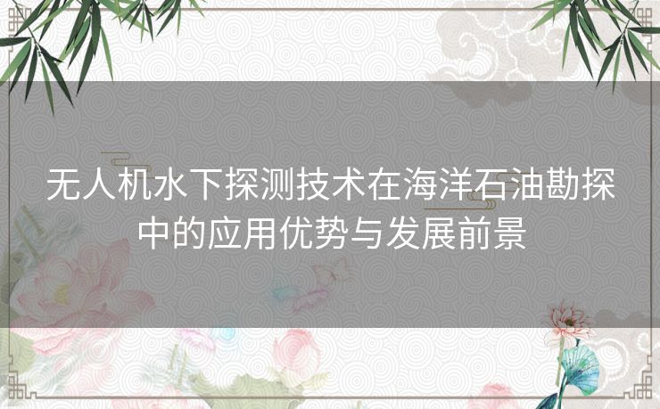 无人机水下探测技术在海洋石油勘探中的应用优势与发展前景