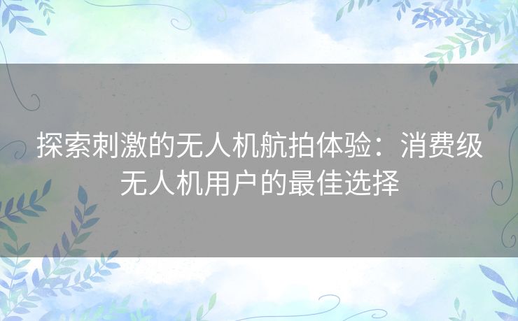 探索刺激的无人机航拍体验：消费级无人机用户的最佳选择