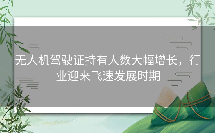 无人机驾驶证持有人数大幅增长，行业迎来飞速发展时期