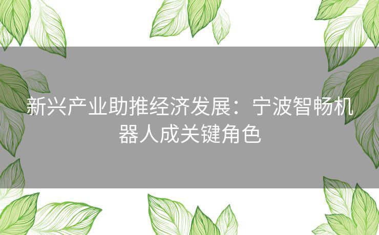新兴产业助推经济发展：宁波智畅机器人成关键角色