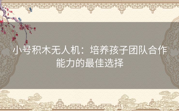 小号积木无人机：培养孩子团队合作能力的最佳选择