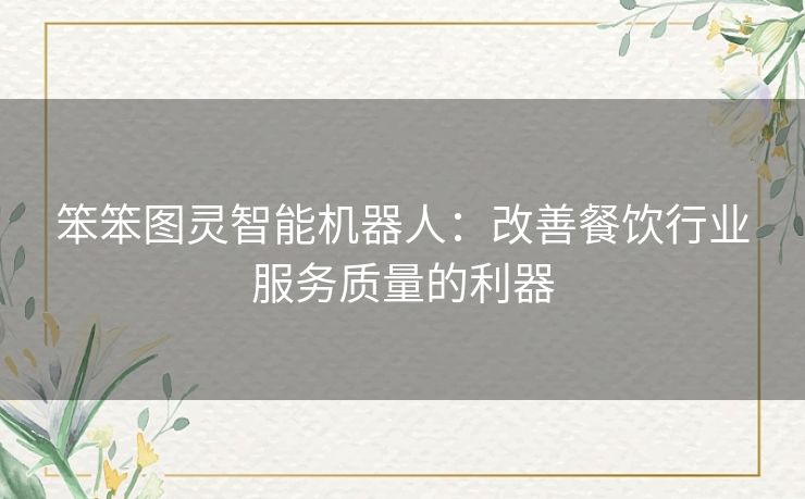 笨笨图灵智能机器人：改善餐饮行业服务质量的利器