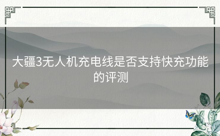 大疆3无人机充电线是否支持快充功能的评测