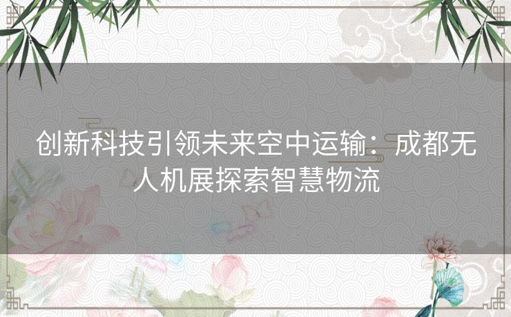 创新科技引领未来空中运输：成都无人机展探索智慧物流