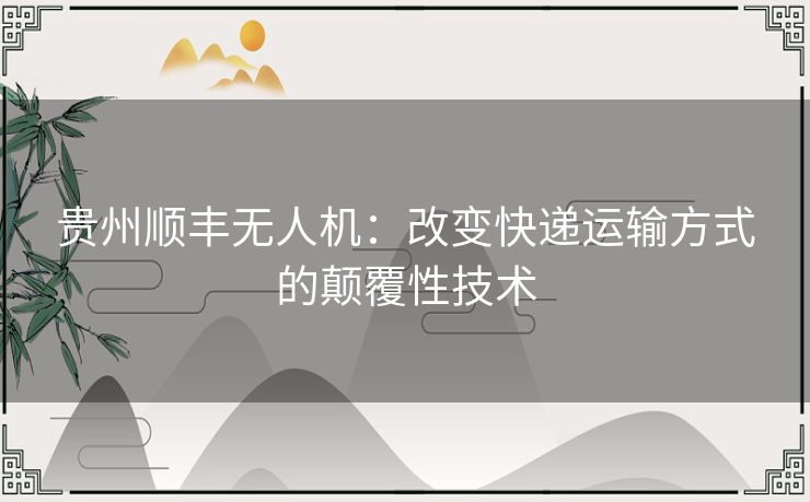 贵州顺丰无人机：改变快递运输方式的颠覆性技术