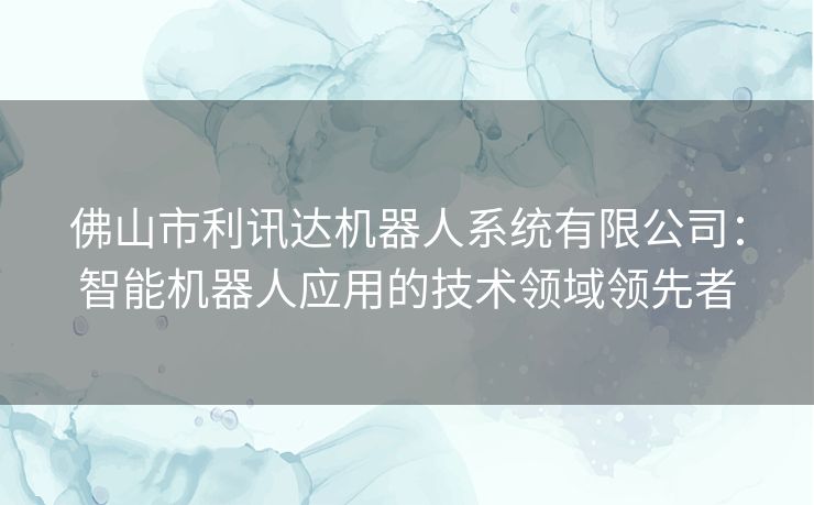 佛山市利讯达机器人系统有限公司：智能机器人应用的技术领域领先者
