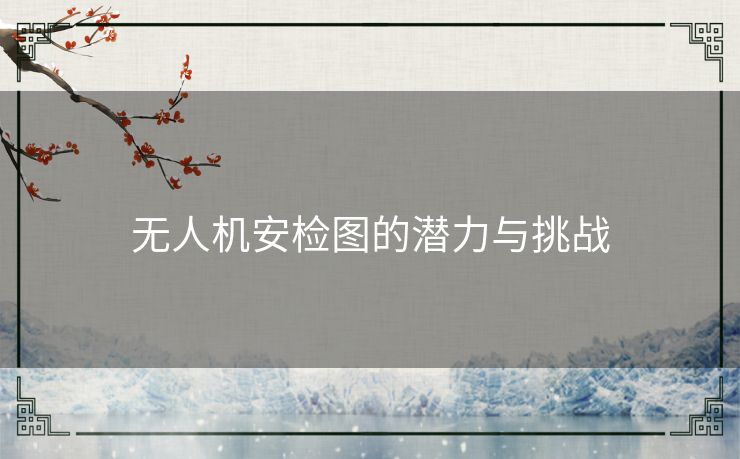 无人机安检图的潜力与挑战
