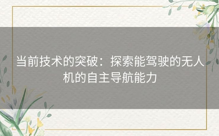 当前技术的突破：探索能驾驶的无人机的自主导航能力