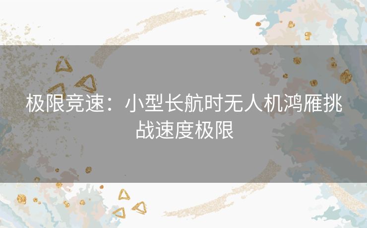 极限竞速：小型长航时无人机鸿雁挑战速度极限