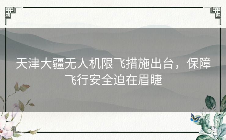 天津大疆无人机限飞措施出台，保障飞行安全迫在眉睫