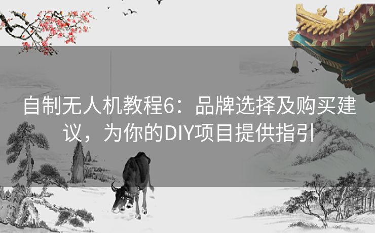 自制无人机教程6：品牌选择及购买建议，为你的DIY项目提供指引