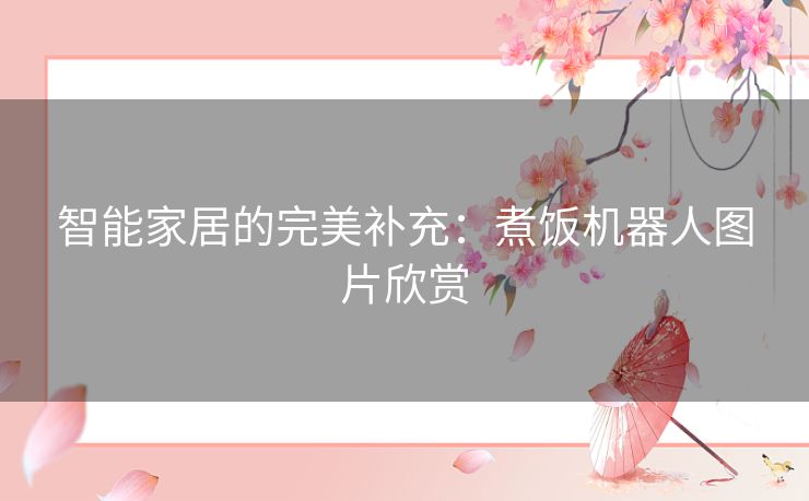 智能家居的完美补充：煮饭机器人图片欣赏