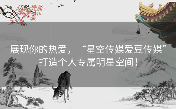 展现你的热爱，“星空传媒爱豆传媒”打造个人专属明星空间！
