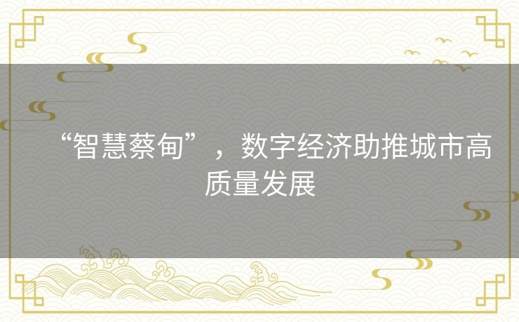 “智慧蔡甸”，数字经济助推城市高质量发展
