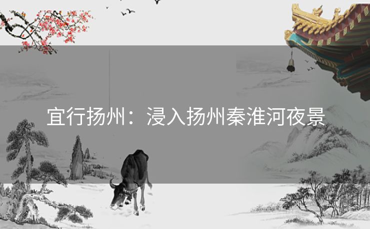 宜行扬州：浸入扬州秦淮河夜景