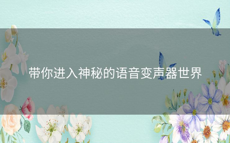 带你进入神秘的语音变声器世界