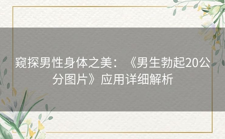 窥探男性身体之美：《男生勃起20公分图片》应用详细解析