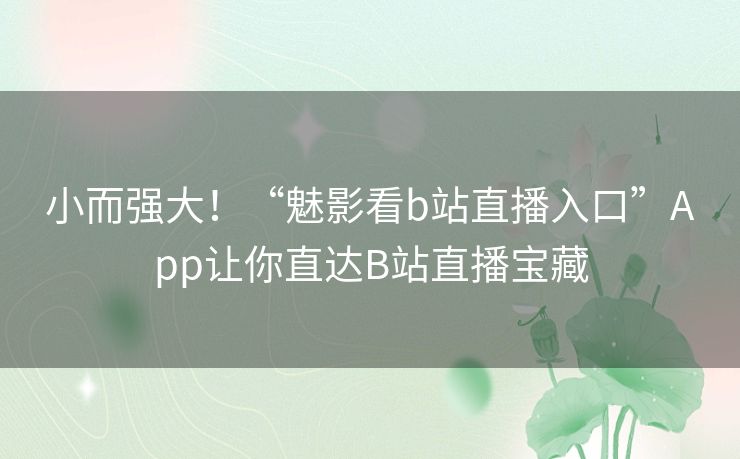 小而强大！“魅影看b站直播入口”App让你直达B站直播宝藏