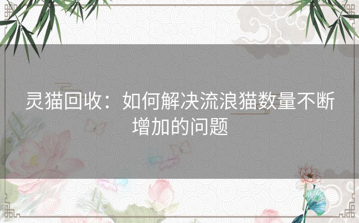 灵猫回收：如何解决流浪猫数量不断增加的问题