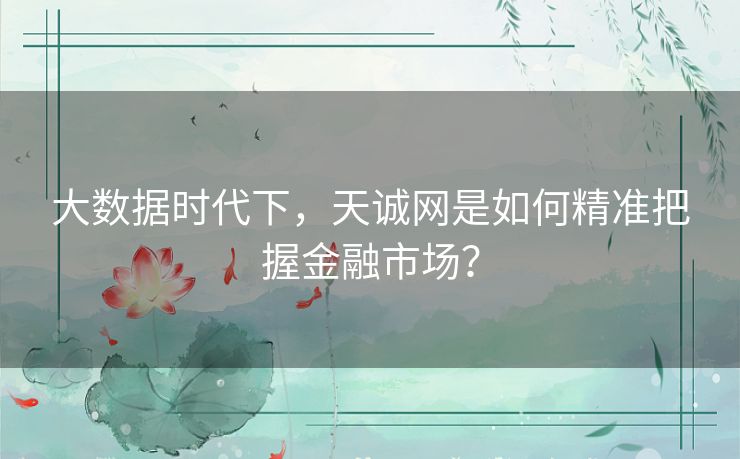 大数据时代下，天诚网是如何精准把握金融市场？