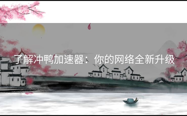 了解冲鸭加速器：你的网络全新升级