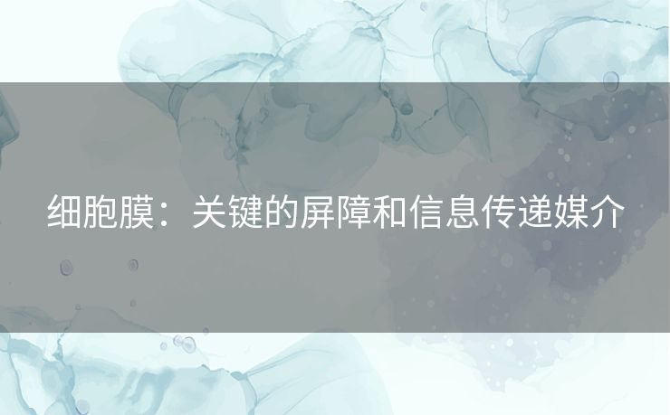 细胞膜：关键的屏障和信息传递媒介