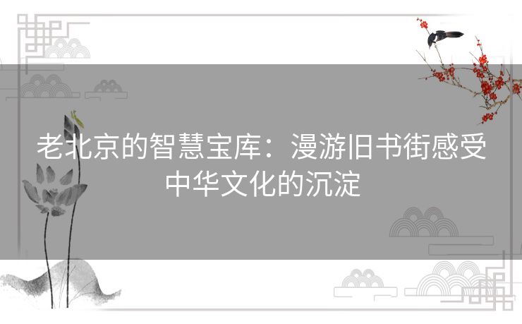 老北京的智慧宝库：漫游旧书街感受中华文化的沉淀