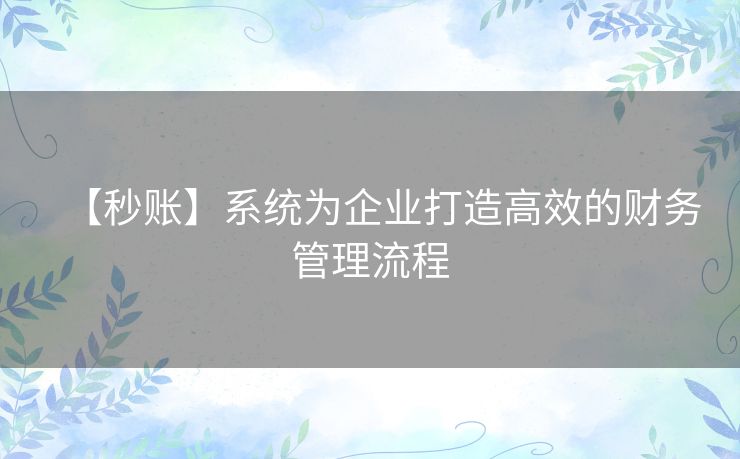 【秒账】系统为企业打造高效的财务管理流程