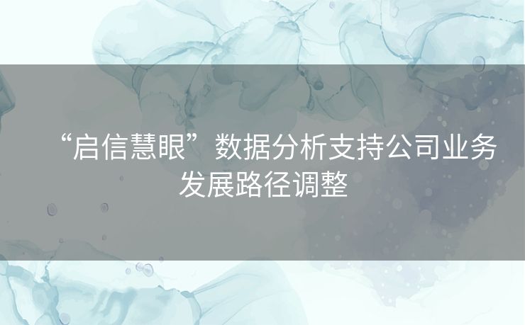 “启信慧眼”数据分析支持公司业务发展路径调整