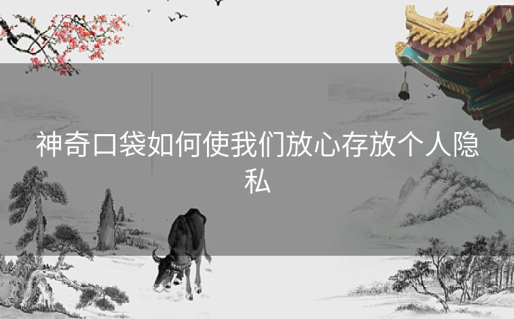 神奇口袋如何使我们放心存放个人隐私