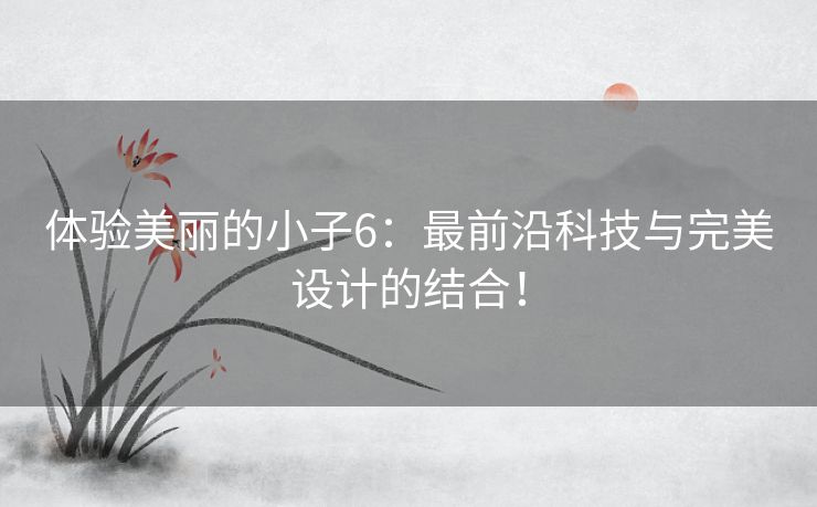 体验美丽的小子6：最前沿科技与完美设计的结合！