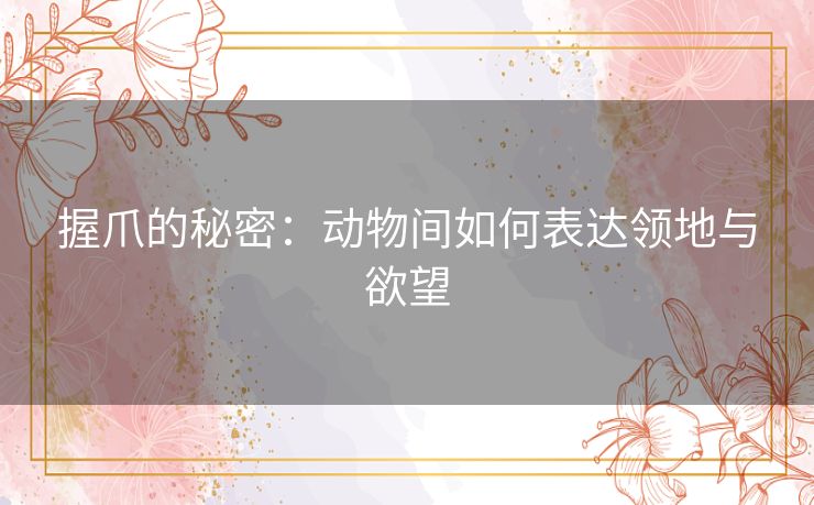 握爪的秘密：动物间如何表达领地与欲望