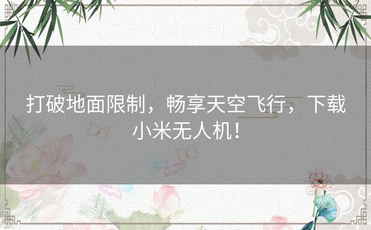 打破地面限制，畅享天空飞行，下载小米无人机！