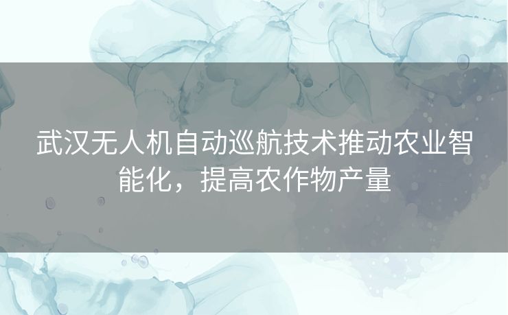 武汉无人机自动巡航技术推动农业智能化，提高农作物产量