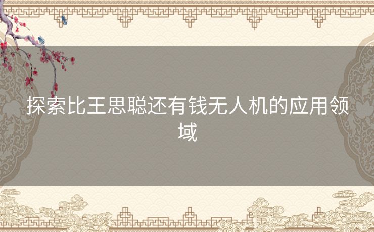 探索比王思聪还有钱无人机的应用领域