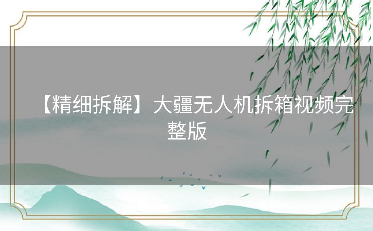 【精细拆解】大疆无人机拆箱视频完整版