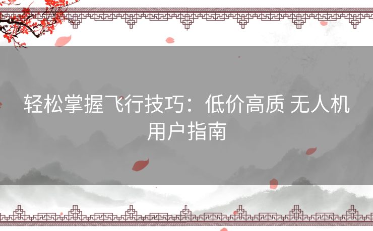 轻松掌握飞行技巧：低价高质 无人机用户指南